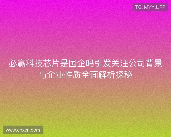必赢科技芯片是国企吗引发关注公司背景与企业性质全面解析探秘